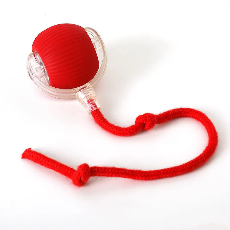 PurrRoll | Interactive Cat Toy Ball