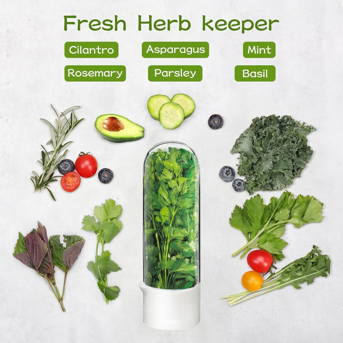 HerbLock™ – Keep Your Greens Alive, Longer
