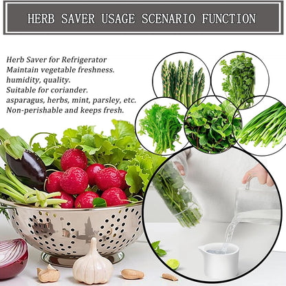 HerbLock™ – Keep Your Greens Alive, Longer
